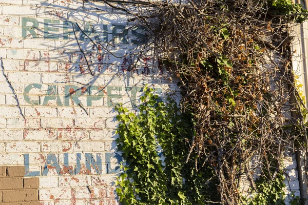 Vintage Service Signage With Overgrown Green Creeper — 스톡 사진