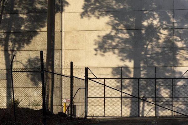 Tall Tree Casting Shadow On Brutalist Factory Warehouse Wall During Afternoon Light — 스톡 사진