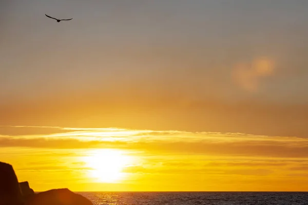 Ocean Bird Flying Toward Hot Burning Sun In The Distance