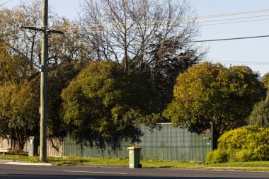 Yerleşim geri dönüşüm kutusu çöp toplama için yol kenarında bekliyor.