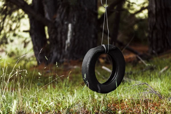 Columpio de neumáticos colgando tranquilamente en el bosque — Foto de Stock