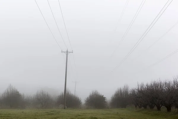 Grünes Feld und Kabel unter nebligem Himmel — Stockfoto