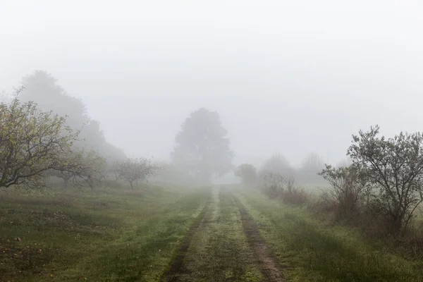 Droga wiejska w zielonym polu w mglisty dzień — Zdjęcie stockowe