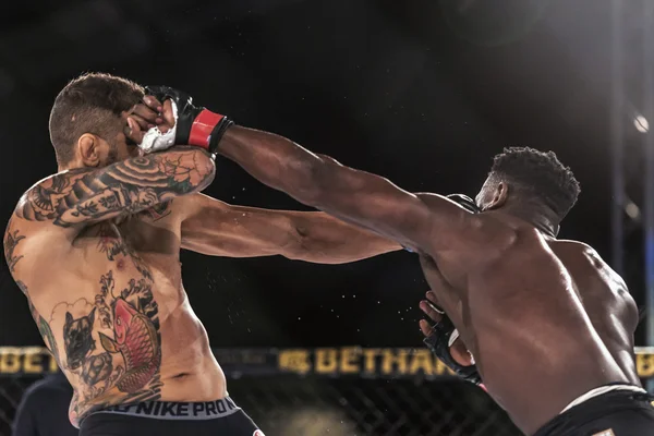 Papy Abedi vs Bruno Carvalho en Superior Challenge 14 —  Fotos de Stock