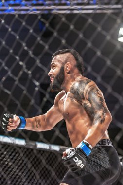 Oliver Enkamp vs Rickson Pontes mücadele 