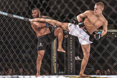 Oliver Enkamp vs Rickson Pontes mücadele 
