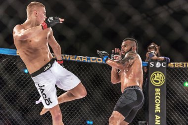Oliver Enkamp vs Rickson Pontes mücadele 