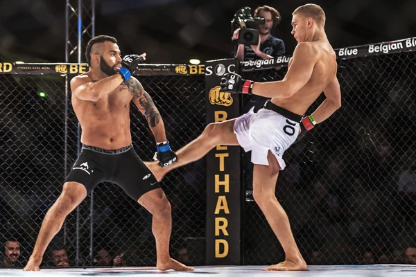 Oliver Enkamp vs Rickson Pontes mücadele 