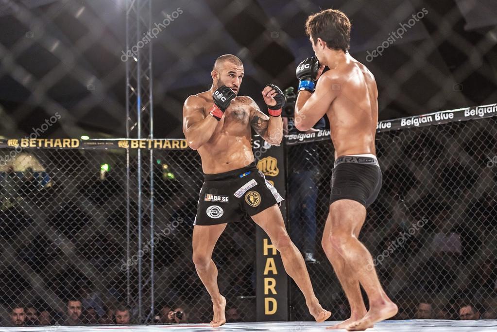1 512 Ufc Octagon Stock Photos Images Download Ufc Octagon Pictures On Depositphotos 1 512 Ufc Octagon Stock Photos Images Download Ufc Octagon Pictures On Depositphotos