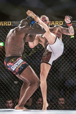 Milanko Puranovic vs Felipe Salvador çift c arasında kavga