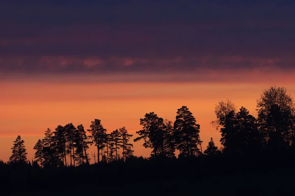 Желто-голубое ночное небо перед закатом с силуэтом — стоковое фото