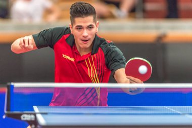 Gerell (Swe) vs Martin Allegro (Bel) Masa Tenisi tou par