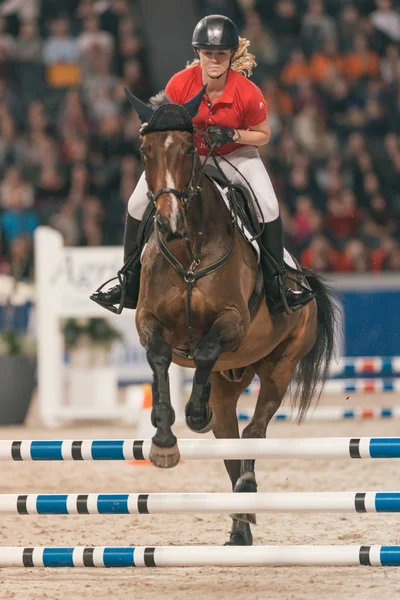 Швеція міжнародного Horse Show на арені друзів — стокове фото