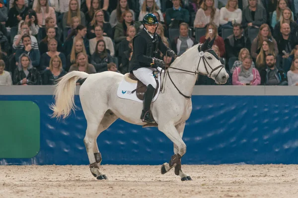 Dogge Doggelito au Celebrity jumping au Sweden Internati — Photo