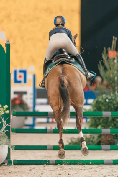 Montar y conducir la competencia en el Suecia International Horse Sho —  Fotos de Stock