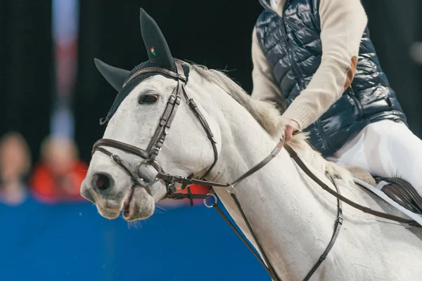 Ludwig Svennerstal bij de wedstrijd van de rit en rijden in de Zwe — Stockfoto