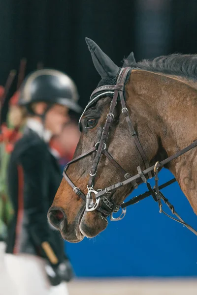 Malin Baryard Johnsson vid rida och köra tävlingen i den — Stockfoto