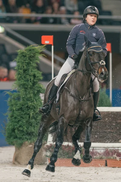 Indoor Cross Country evento in Svezia International Horse Sho — Foto Stock