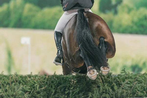 Samantha Birch en el evento Indoor Cross Country en Suecia I — Foto de Stock