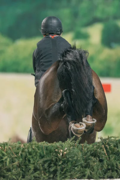 Samantha Birch na vnitřní Cross Country akci v Švédsku jsem — Stock fotografie