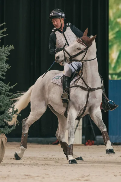 Критий пересіченій місцевості подія міжнародного Швеція коня фотограф — стокове фото