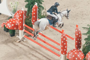 Fillippa Hellstrom atprince Carl Philip ödül olay ponny jum