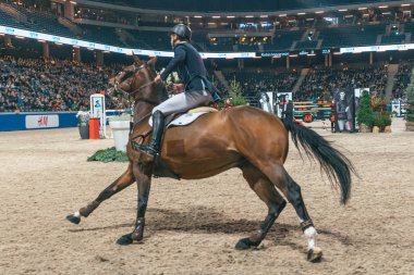 Robin Ingvarsson finalinde gençler şampiyonu 