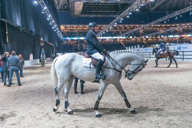 John Whitaker'a İsveç Grand Prix TH alanında Isınma