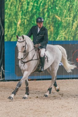 John Whitaker Swed içinde atlama arkadaş Noel hızda