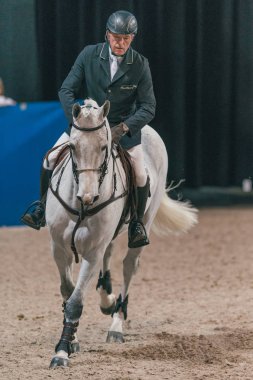 John Whitaker Swed içinde atlama arkadaş Noel hızda