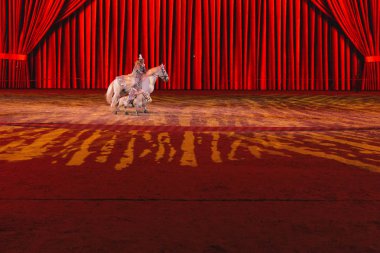 İsveç uluslararası at Fuarı'nda arkadaşları olay olduğunu göster