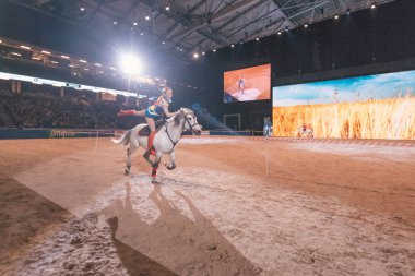 İsveç Grand Prix Frie İsveç uluslararası at gösterisinde