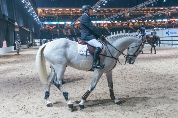 John Whitaker'a İsveç Grand Prix TH alanında Isınma