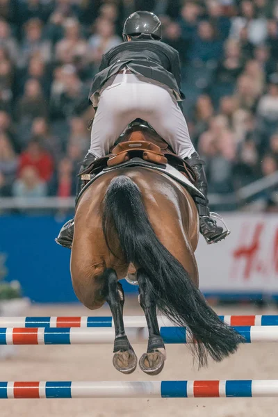 Přátelé Vánoc rychlosti skákání v mezinárodní Hors Švédsko — Stock fotografie