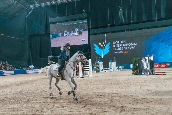 Elfstrand на знаменитість, стрибки в Швеції міжнародного H — стокове фото