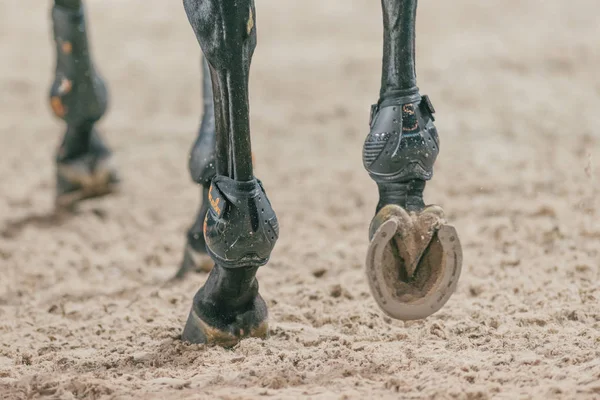 Horse shoes and legs at the Sweden Masters Last Man Standing in — Stock Photo, Image