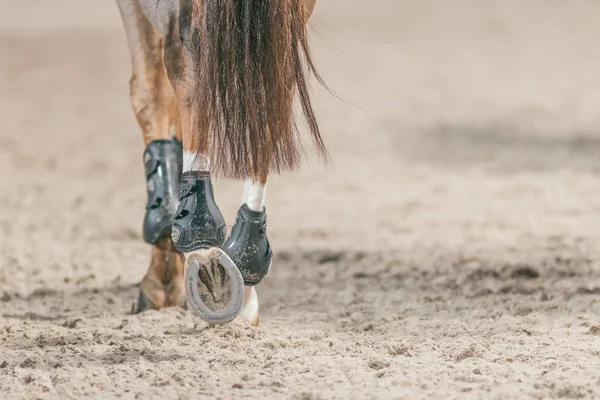 Horse shoes and legs at the Sweden Masters Last Man Standing in — Stock Photo, Image