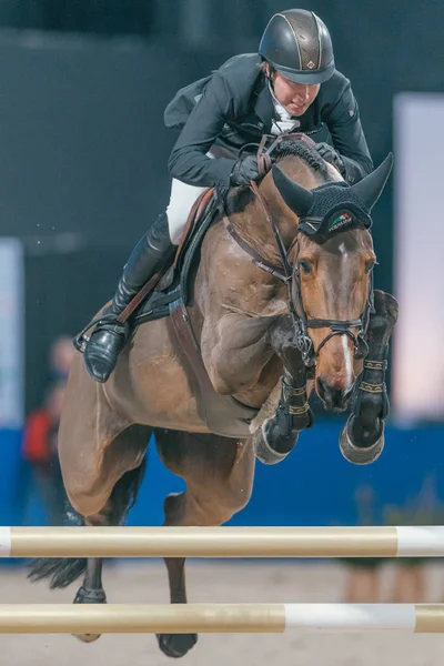 Grand Prix de Suède au Salon International du Cheval de Suède à Frie — Photo