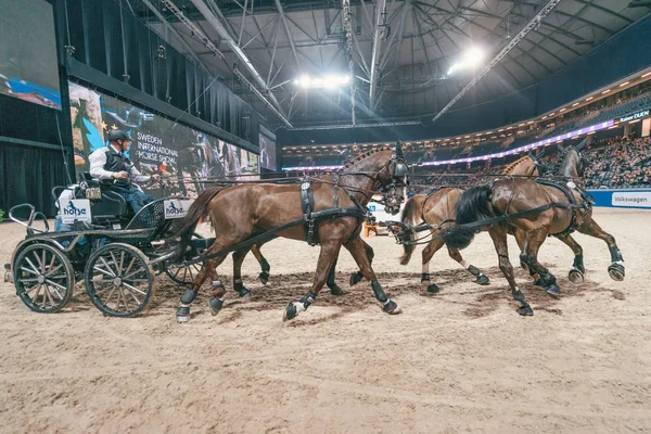 Rainer Duen à la finale de la Coupe du Monde FEI en Suède Int — Photo