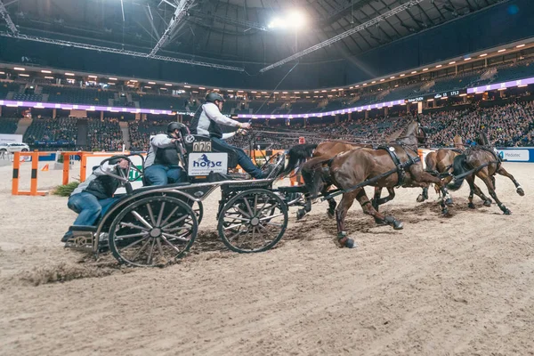 Rainer duen beim fei world cup driving finale im schwedischen int — Stockfoto