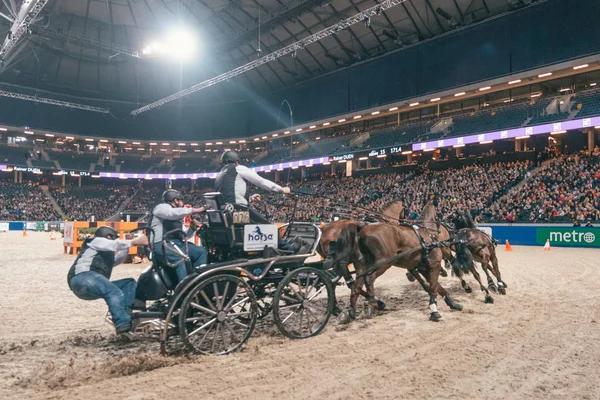 Rainer duen beim fei world cup driving finale im schwedischen int — Stockfoto