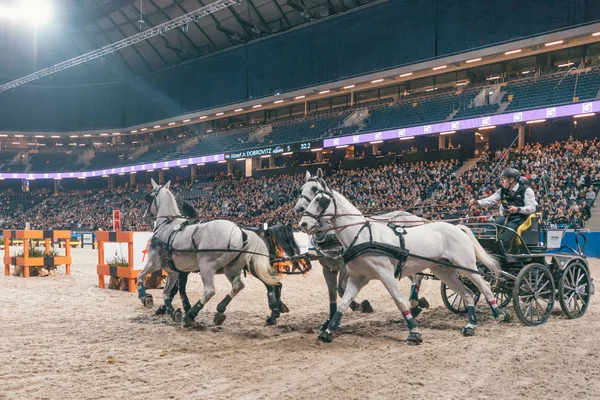 József Dobrovitz a Fei világ kupa vezetés a svéd végleges — Stock Fotó