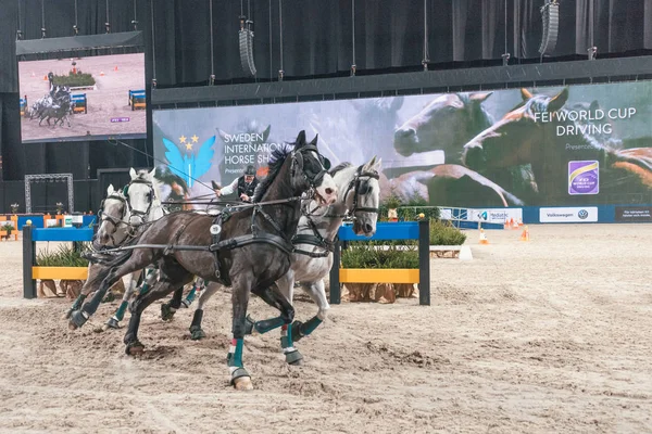 Jozsef Dobrovitz à la finale de la Coupe du Monde FEI en Suédois — Photo