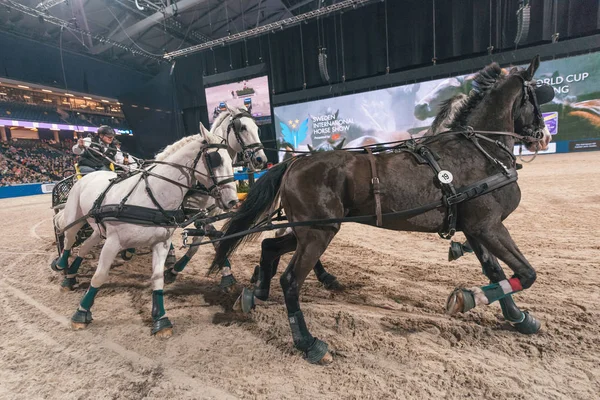 József Dobrovitz a Fei világ kupa vezetés a svéd végleges — Stock Fotó