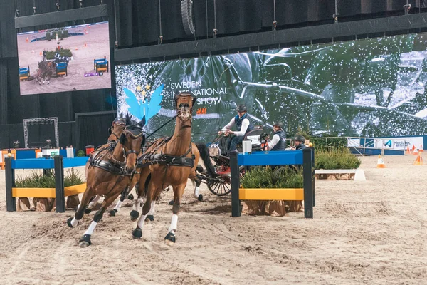 Фредрік Перссон в фей світ Кубок рушійних остаточний Швеції — стокове фото