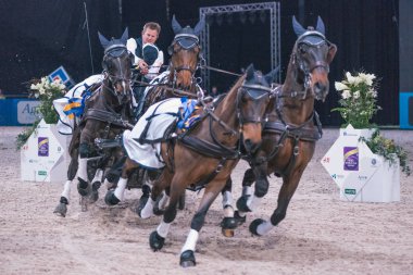 Kucak kazanan Boyd Exell Fei Dünya Kupası Drivi, şeref