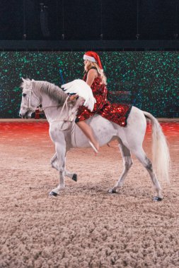 İsveç uluslararası at Fuarı'nda arkadaş Noel gösterisi