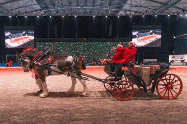 İsveç uluslararası at Fuarı'nda arkadaş Noel gösterisi