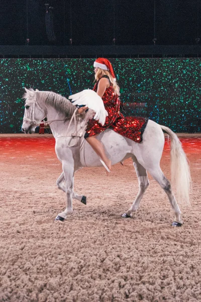 Vánoční show v Švédsko mezinárodní Horse Show na přátele — Stock fotografie