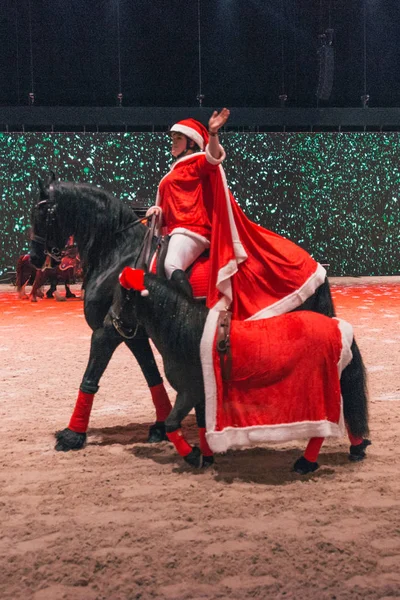 Espectáculo de Navidad en el Salón Internacional de Caballos de Suecia en Friends — Foto de Stock